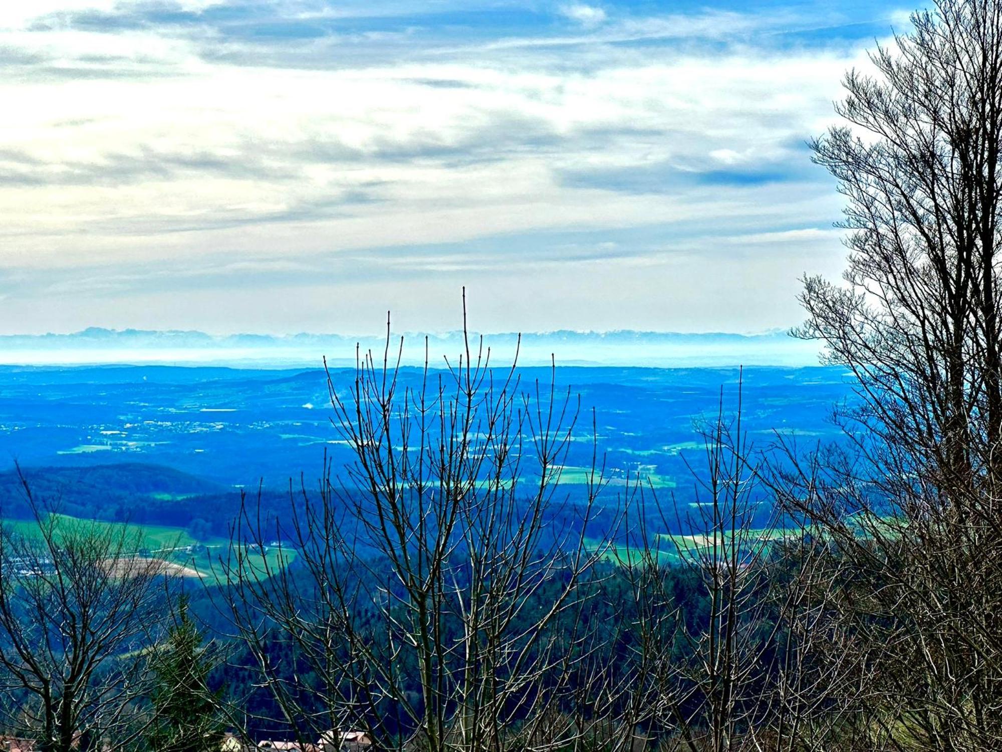 Gemuetliches Alpenblick Berg-Bungalow + Grosser Garten + Netflix! Schöfweg Dış mekan fotoğraf
