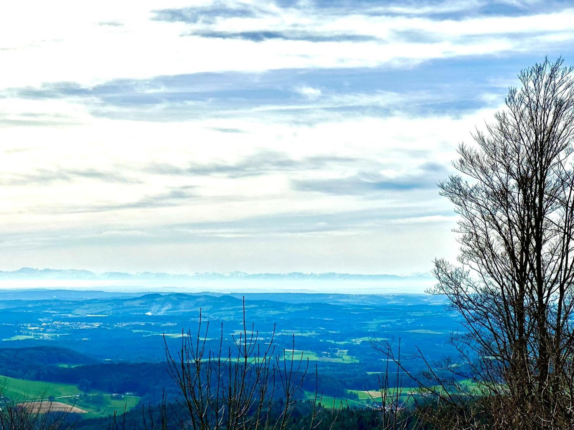 Gemuetliches Alpenblick Berg-Bungalow + Grosser Garten + Netflix! Schöfweg Dış mekan fotoğraf